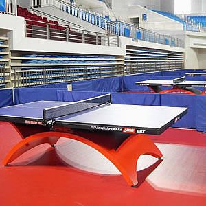 其它PVC乒乓球場(chǎng)地 Table tennis