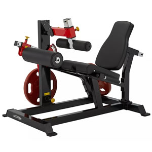 史帝飛免維護(hù)掛片式踢腿/屈腿雙功能訓(xùn)練器 PL2500