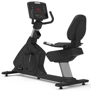 銳飛健身車 R300