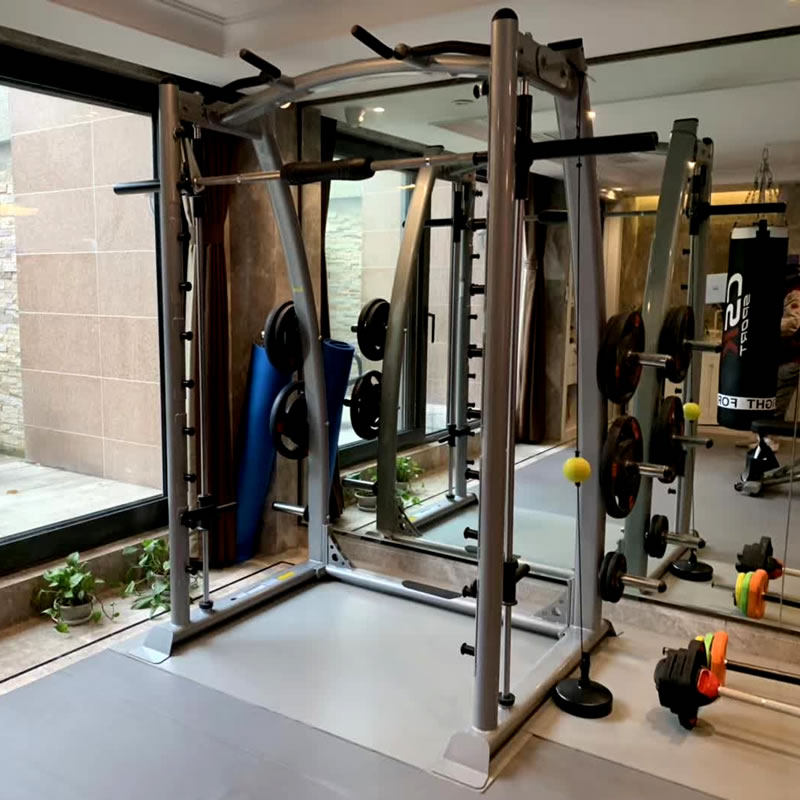 史帝飛史密斯機(jī) MSM 商用史密斯機(jī)