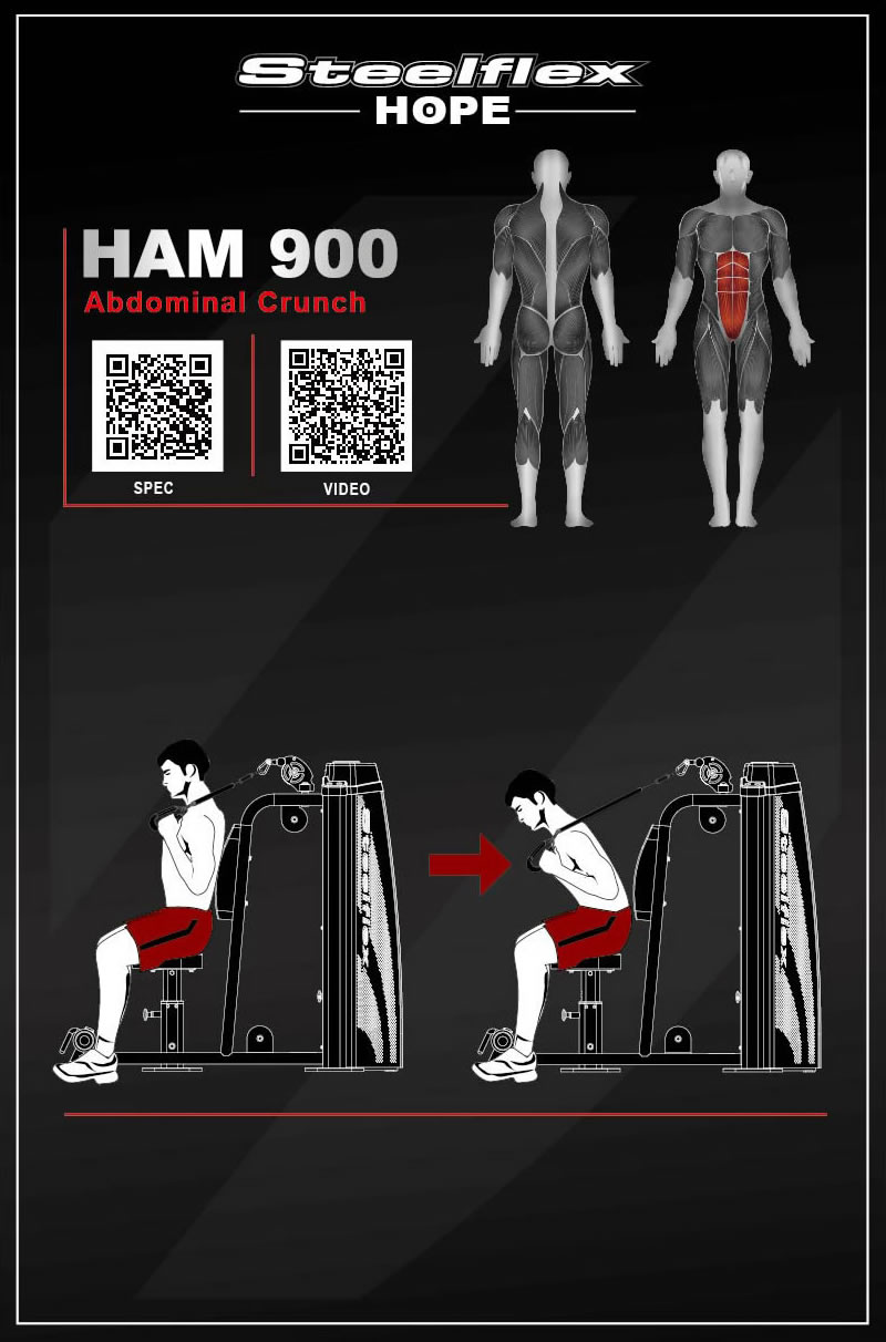 Steelflex HAM900 坐姿腹部前屈訓(xùn)練器/卷腹機(jī)