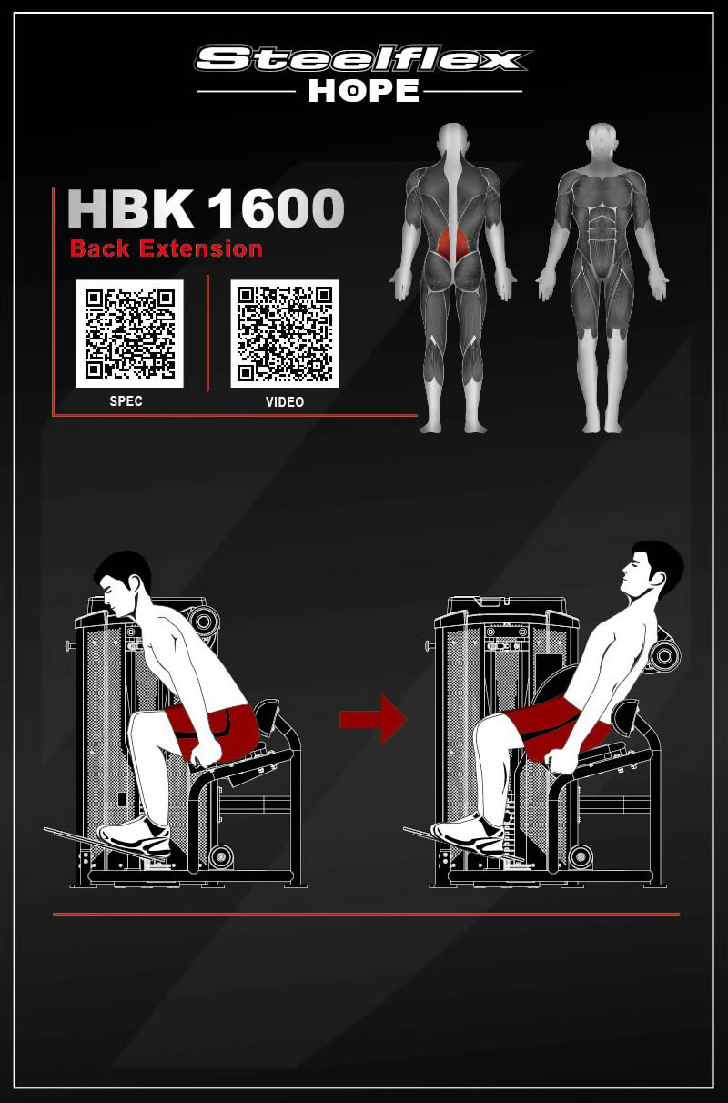 Steelflex HBK1600 坐姿背部擴(kuò)展訓(xùn)練器