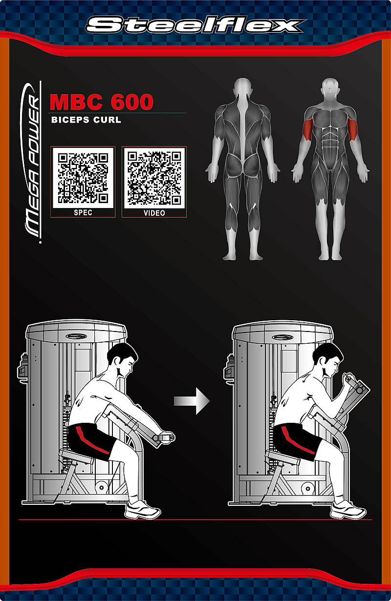 Steelflex MBC600 肱二頭肌訓(xùn)練機(jī)
