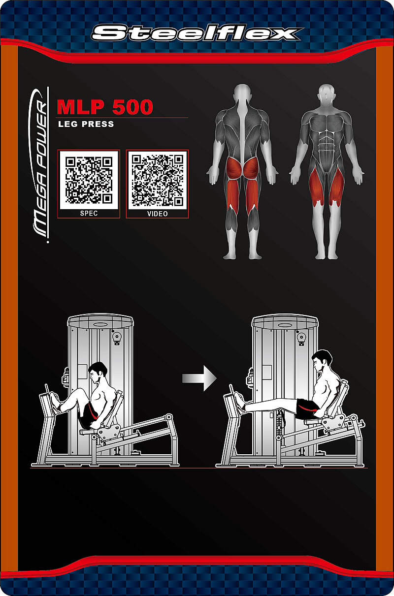Steelflex MLP500 坐姿提踵/蹲腿訓(xùn)練器